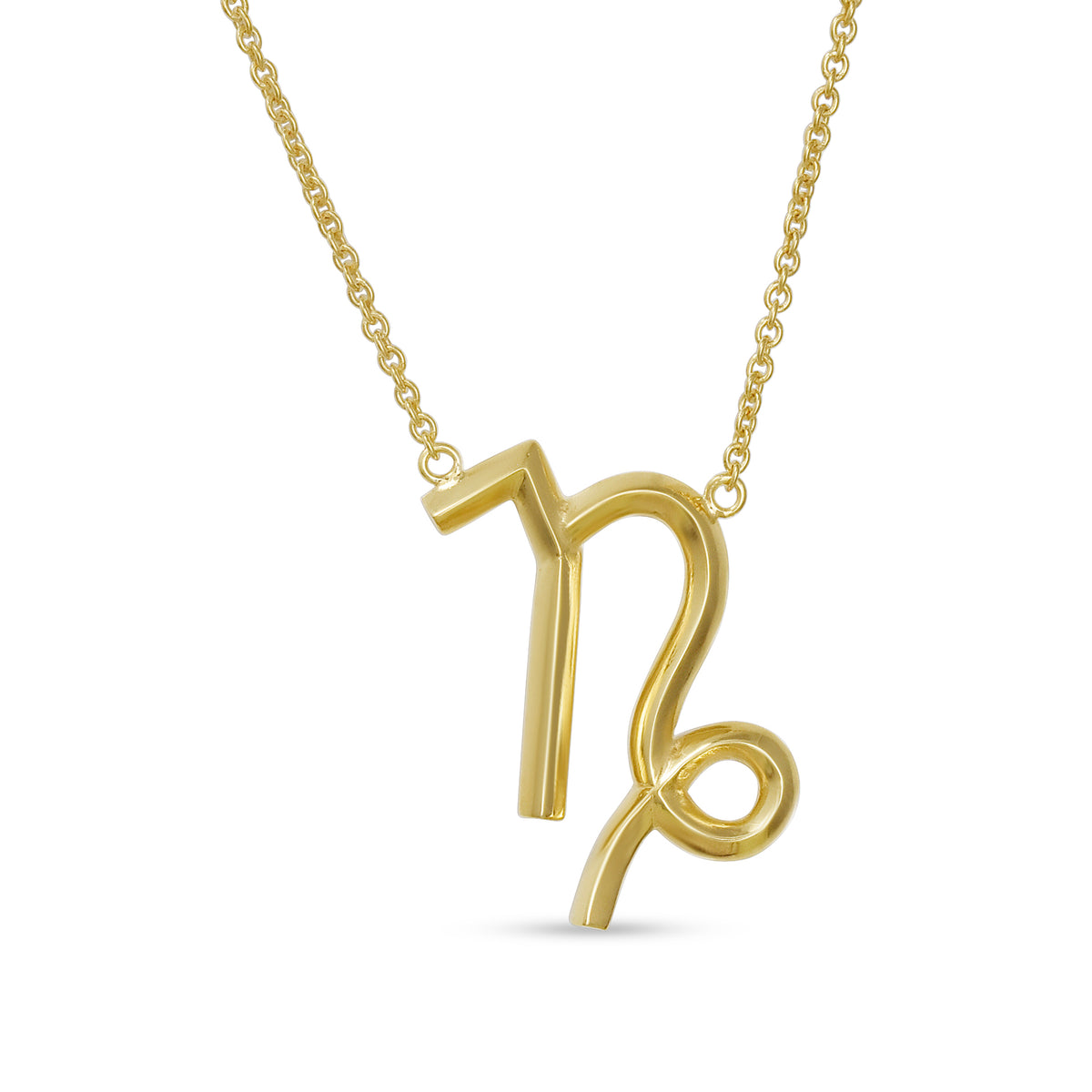 Capricorn Zodiac Pendant